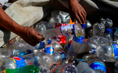 Coke and Pepsi sued for creating a plastic pollution ‘nuisance’