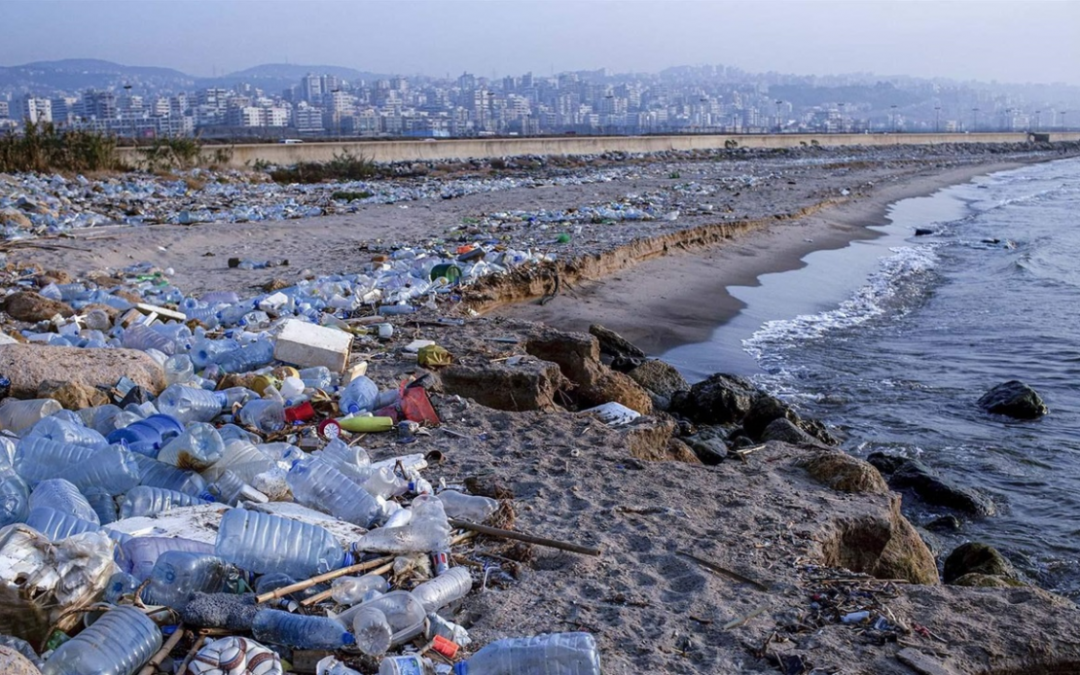 Top Findings for Preventing Plastic Pollution